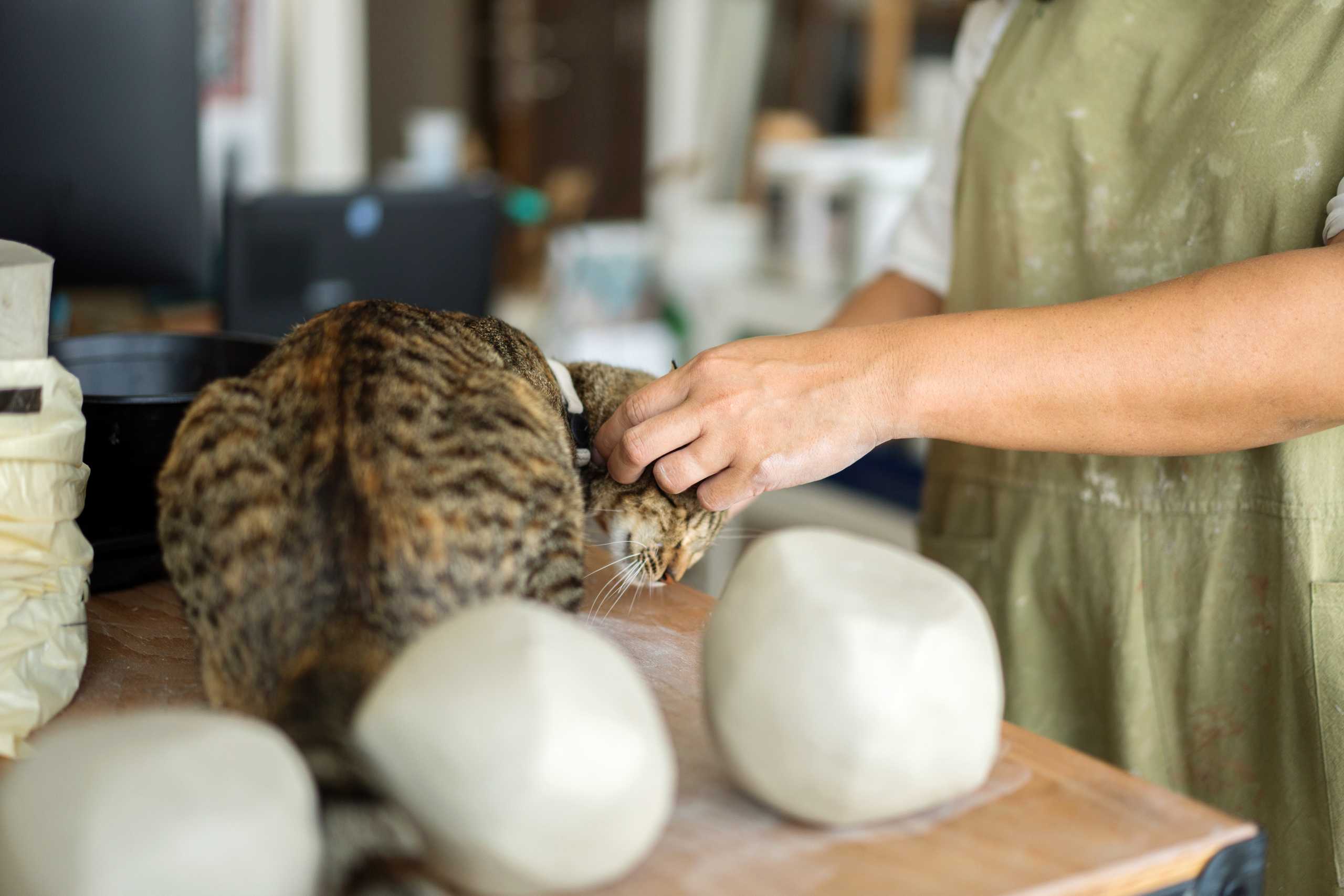 The Art of Transforming Clay into Creativity